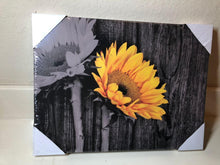 Load image into Gallery viewer, Black and White Rustic Sunflower on Wooden Table Wall Art Stretched Canvas