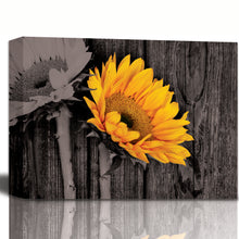 Load image into Gallery viewer, Black and White Rustic Sunflower on Wooden Table Wall Art Stretched Canvas
